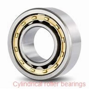 85 mm x 180 mm x 41 mm  ISO NU317 cylindrical roller bearings